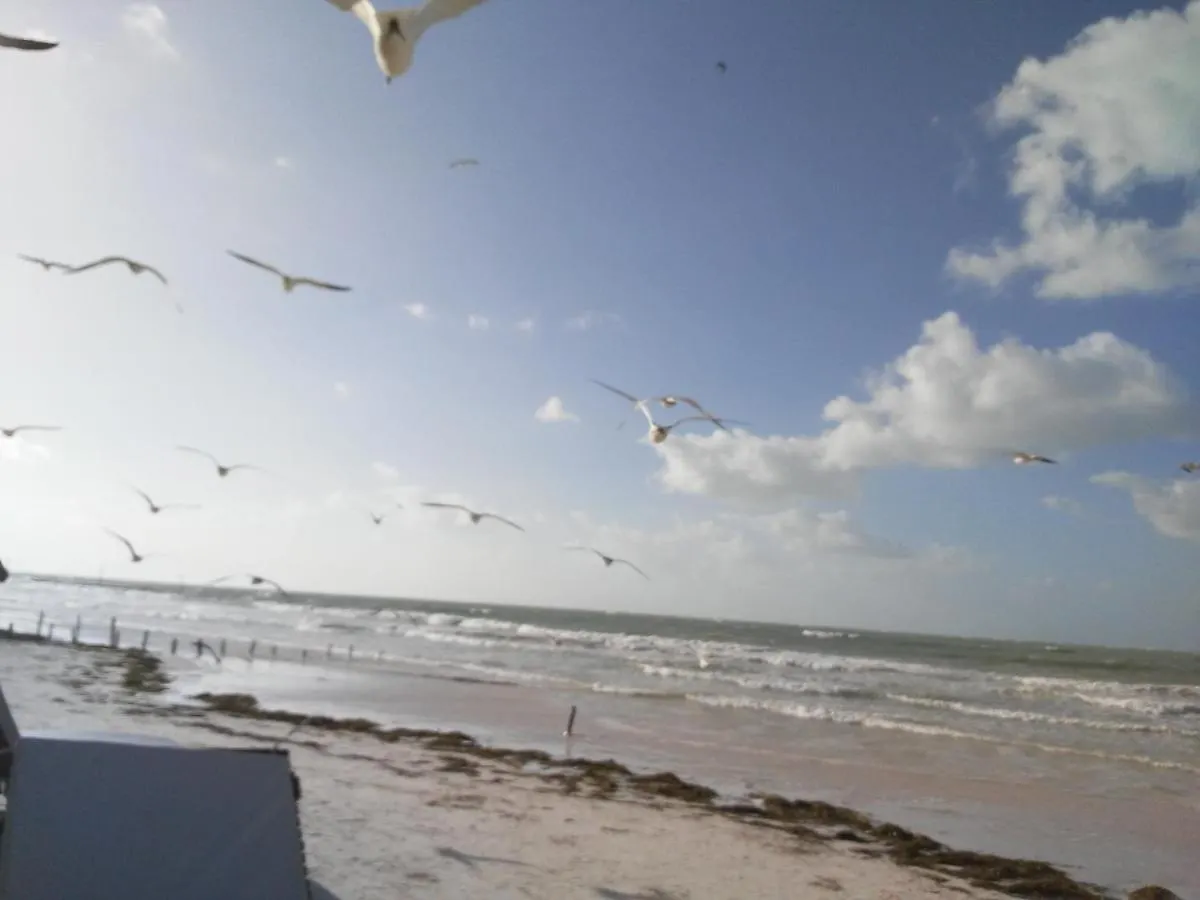 Posada Laury Isla Holbox 0*,  Μεξικό