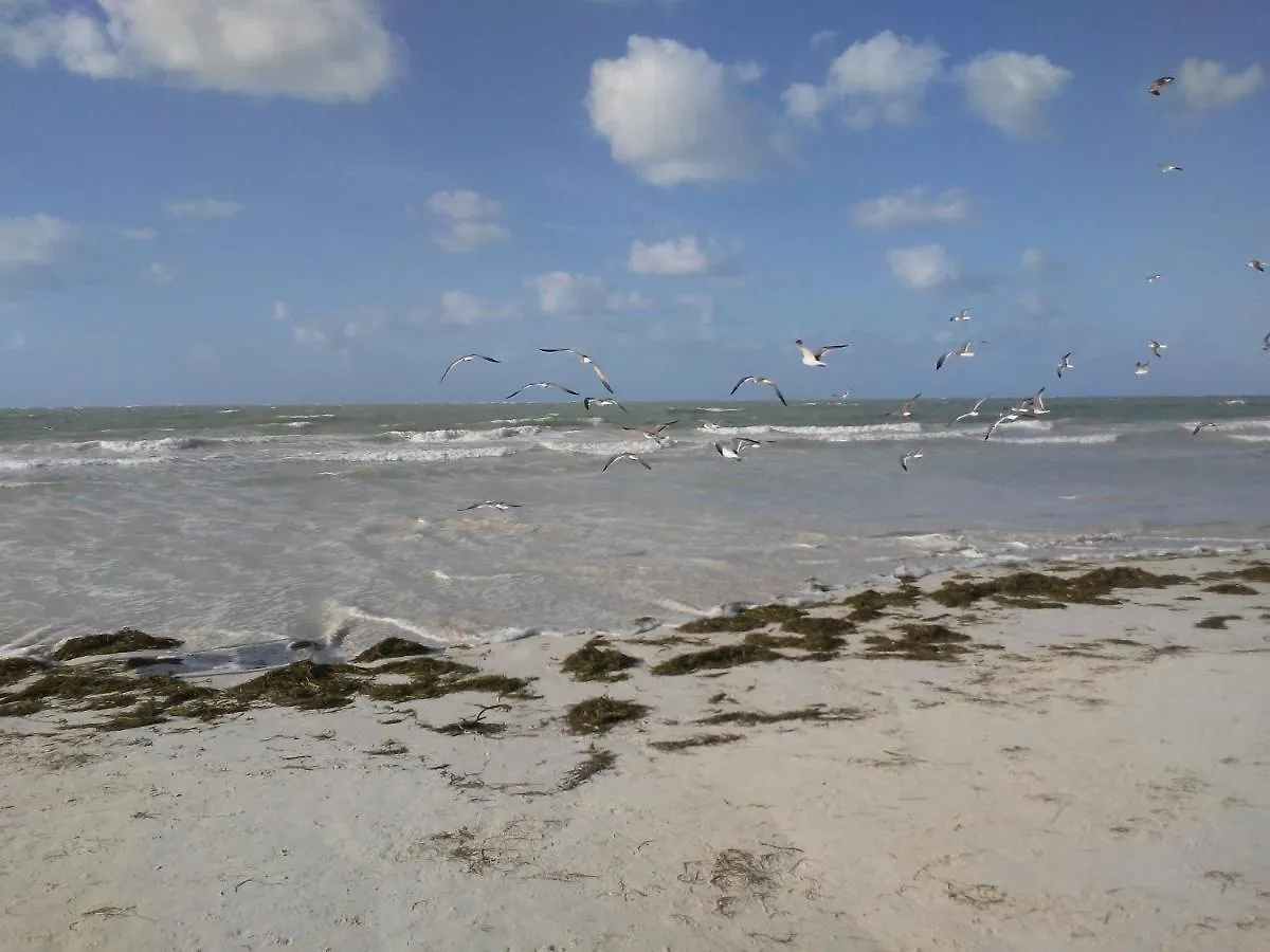 Posada Laury Isla Holbox 0*,
