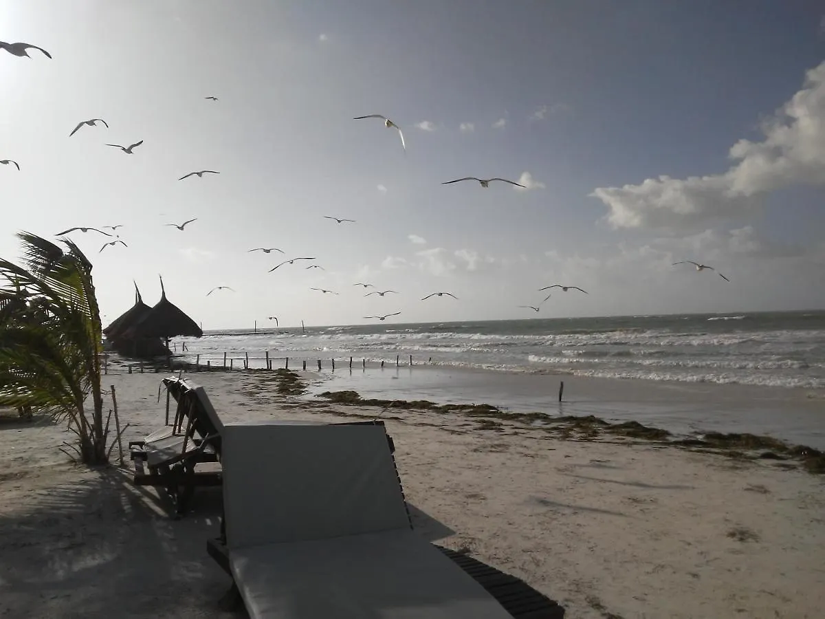 Posada Laury Isla Holbox