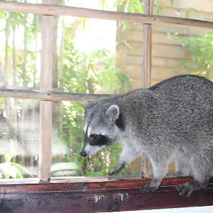 Close To The Town Utopia Isla Holbox