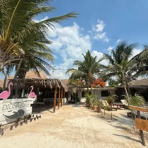 Hotell La Diosa Kali Front, Isla Holbox